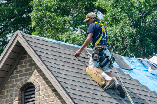 Roof Gutter Cleaning in Winder, GA